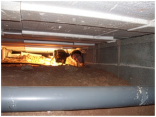Investigation-geotechnique-ge-2e